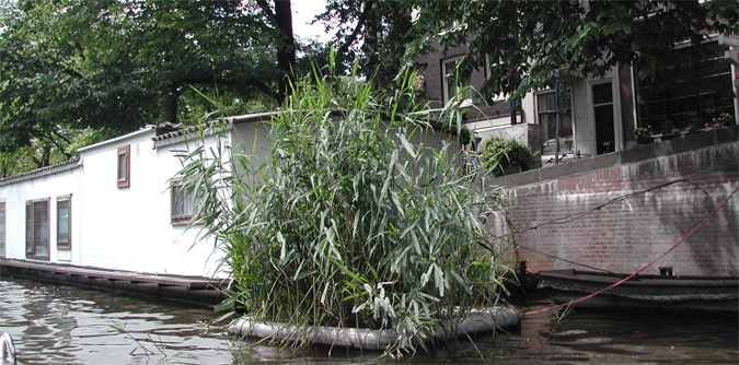 Amsterdam canal